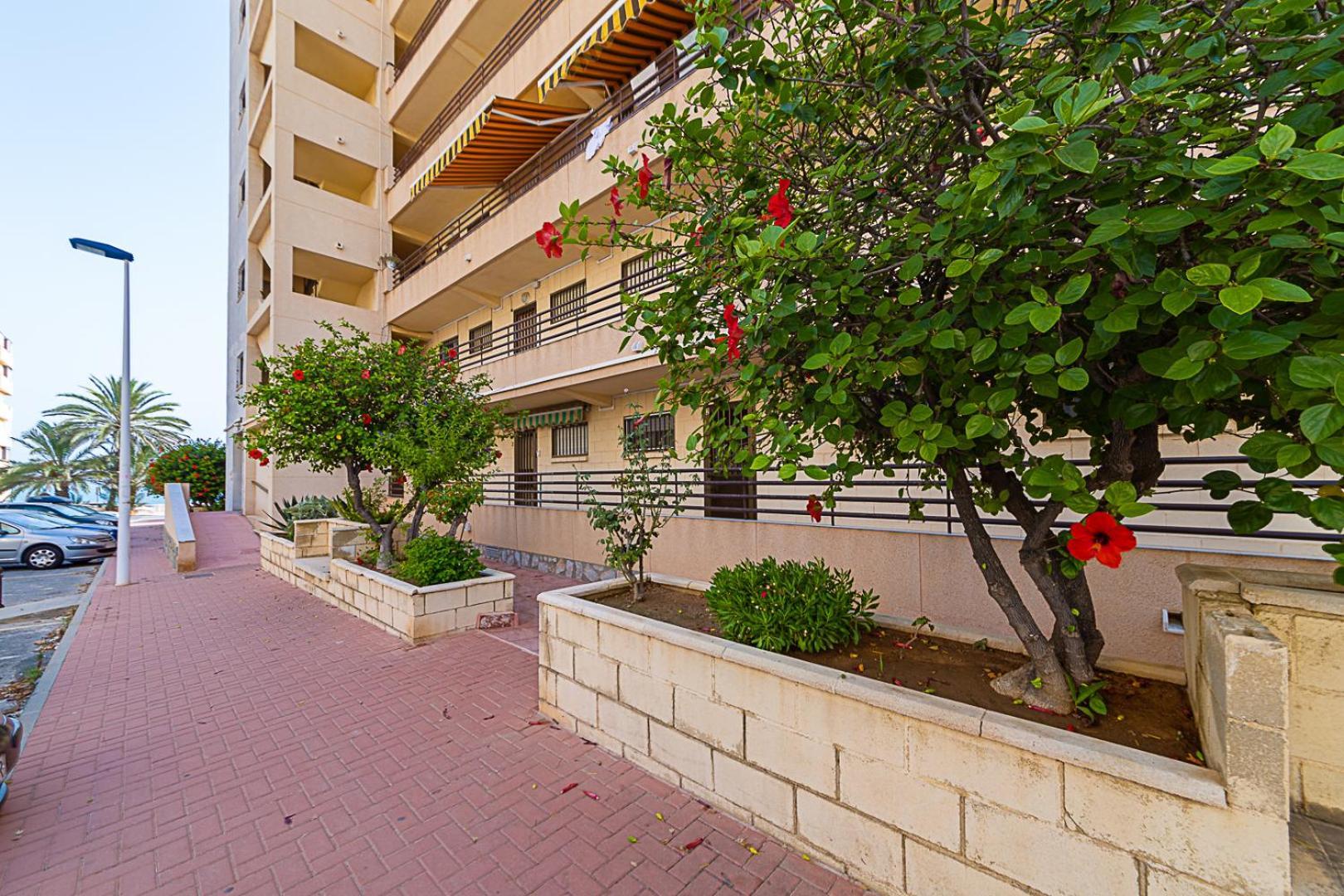Miramar Magic Sea & Sunrise View Apartment Torrevieja Ngoại thất bức ảnh